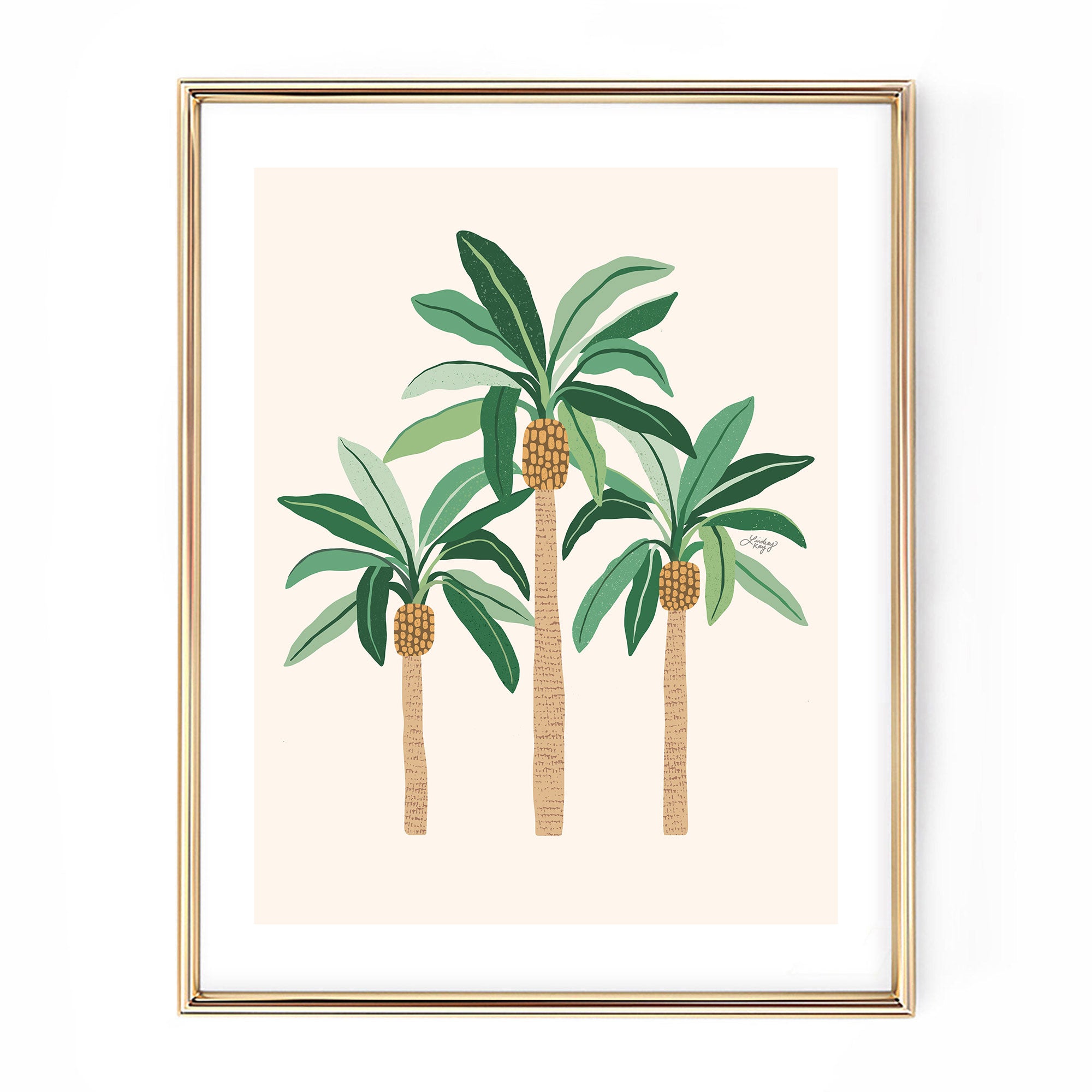palm tree illustration hand drawn art print poster wall art tropical beach plant tree lindsey kay collective